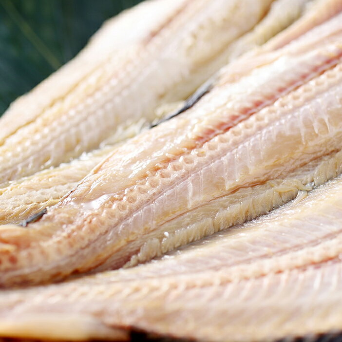 【ふるさと納税】釧路 福司 北海道のお米で造った特別純米酒とお魚のセット 北海道 釧路 ふるさと納税 酒 アルコール 魚 詰め合わせ 詰合せ F4F-0532 サムネイル3