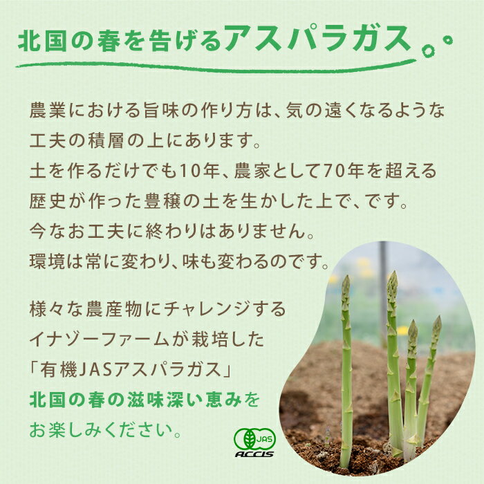 【ふるさと納税】＜季節限定＞有機JASアスパラガス(約1kg・サイズ混合おまかせ) 【先行予約受付中・2026年4月中旬頃から順次発送】期間限定 アスパラ グリーンアスパラ 旬 野菜 【イナゾーファーム】 - 画像3