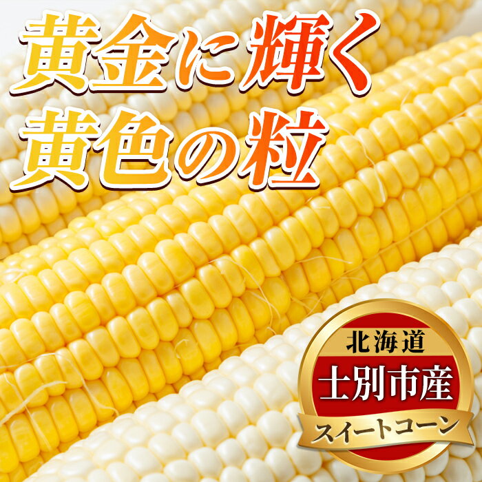 【ふるさと納税】＜期間限定＞天塩川源流スイートコーン (6本～10本) 【2026年8月より順次発送】 ゴールドラッシュ ホイップコーン 北海道産 北海道 士別市 とうもろこし トウモロコシ とうきび 野菜 産地直送 【三栄アグリ】 - 画像3