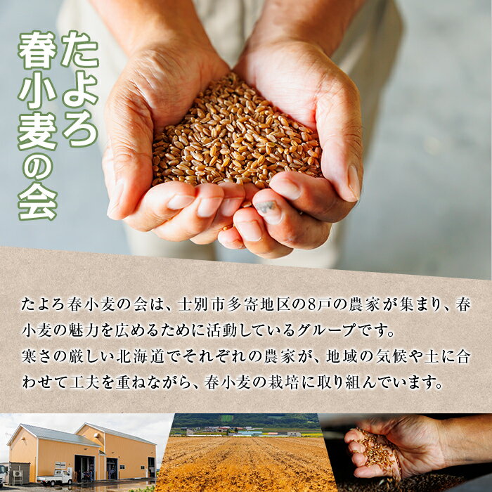 【ふるさと納税】《容量が選べる》＜北海道士別市産小麦＞ たよろの春よ恋 強力粉 (4kg～25kg) 【2026年1月20日以降発送予定】小麦 小麦粉 強力粉 春よ恋 北海道産 士別市産 国産 国産小麦粉 パン お菓子 料理 1kg 10kg 【たよろ春小麦の会】 - 画像2