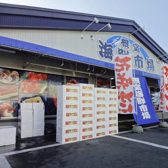 【ふるさと納税】 ★年内 12 月お届け、数量限定でご予約受付中★ 根室海鮮市場 ＜直送＞ いくら醤油漬 ( 鮭卵 ) 選べる 70g ( 2P 4P 8P ) イクラ 醤油 醤油漬け 魚卵 お取り寄せ グルメ 海鮮 北海道 根室市 ふるさと納税 サムネイル2