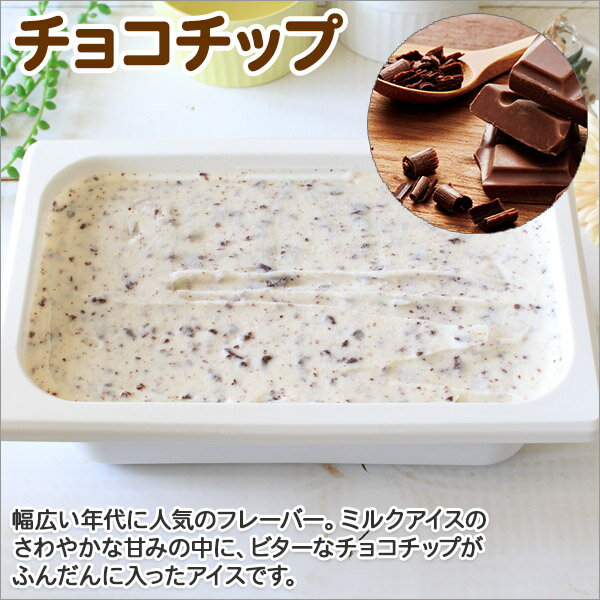 【ふるさと納税】598.くりーむ童話 アイスクリーム チョコチップ ジェラート 2L 業務用 2リットル チョコ アイス ミルク チョコレート いっぱい 牛乳 スイーツ 手作り 贈り物 贈答品 gift ギフト プレゼント お取り寄せ 15000円 北海道 弟子屈町 - 画像2