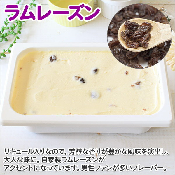 【ふるさと納税】605.くりーむ童話 アイスクリーム ラムレーズン ジェラート 2L 業務用 2リットル アイス レーズン ミルク 干しぶどう いっぱい 牛乳 スイーツ 手作り 贈り物 贈答品 gift ギフト プレゼント お取り寄せ 15000円 北海道 弟子屈町 - 画像2