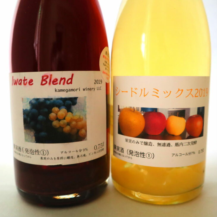 【ふるさと納税】岩手ブレンド・シードルミックス　2本（750ml）セット ワイン お酒 りんご ぶどう 炭酸 ギフト サムネイル2