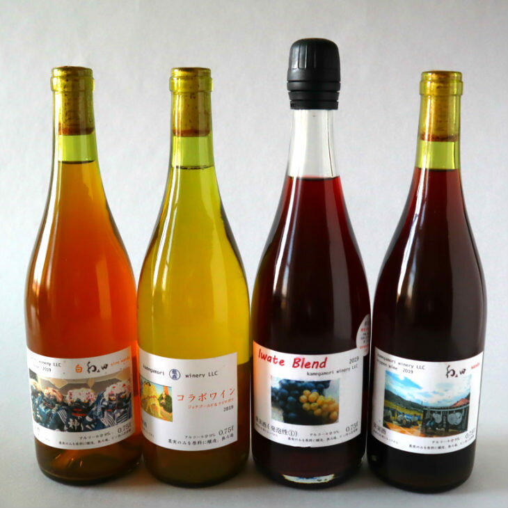 【ふるさと納税】シードル＆ワイン厳選6本（750ml）セット りんご ぶどう お酒 サムネイル2