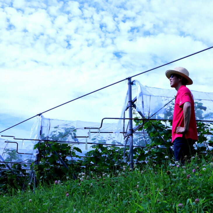 【ふるさと納税】KANTA PETILLANT CAMPBELL ROSE2024 ロゼ 微発泡 ワイン ≪本数が選べる 1本 or 2本≫ 750ml かんたわいん かんたはうす 花巻市 大迫 地域おこし協力隊 サムネイル3