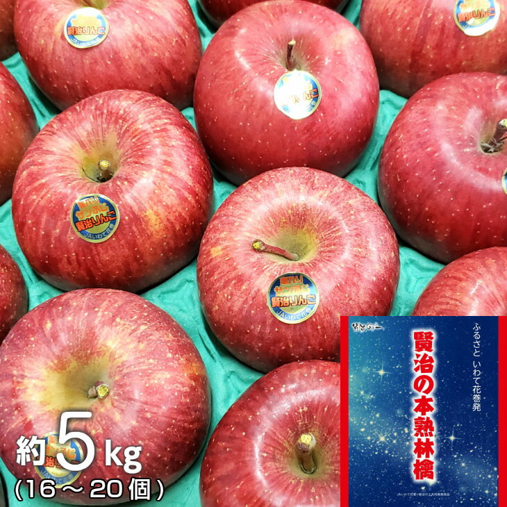 《12月上旬発送〜先行予約》賢治の本熟 りんご（サンふじ） 約5kg ふるさと納税 りんご いわて花巻産 16個〜20個入り