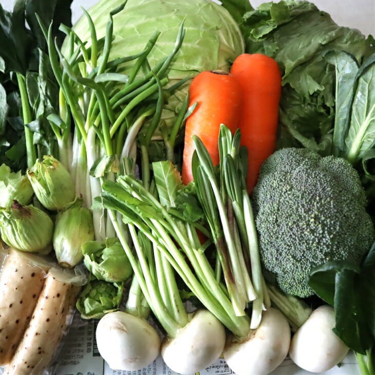 【ふるさと納税】花巻産おいしい野菜セット 12〜16種類前後 - 画像2