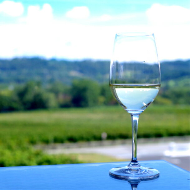 【ふるさと納税】むろねーじゅワイン(りんご) サムネイル3