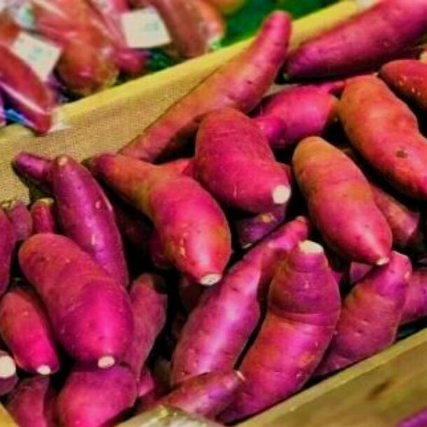 【ふるさと納税】〈先行予約〉 干し芋 無添加 2種 400g 小分け (100g×4袋) セット 【 太陽の恵みいっぱい ギフト 国産 干しいも さつまいも 芋 いも スイーツ 紅はるか たまゆたか 一関市 岩手県 】 ≪発送：2026年1月〜順次発送≫ サムネイル2