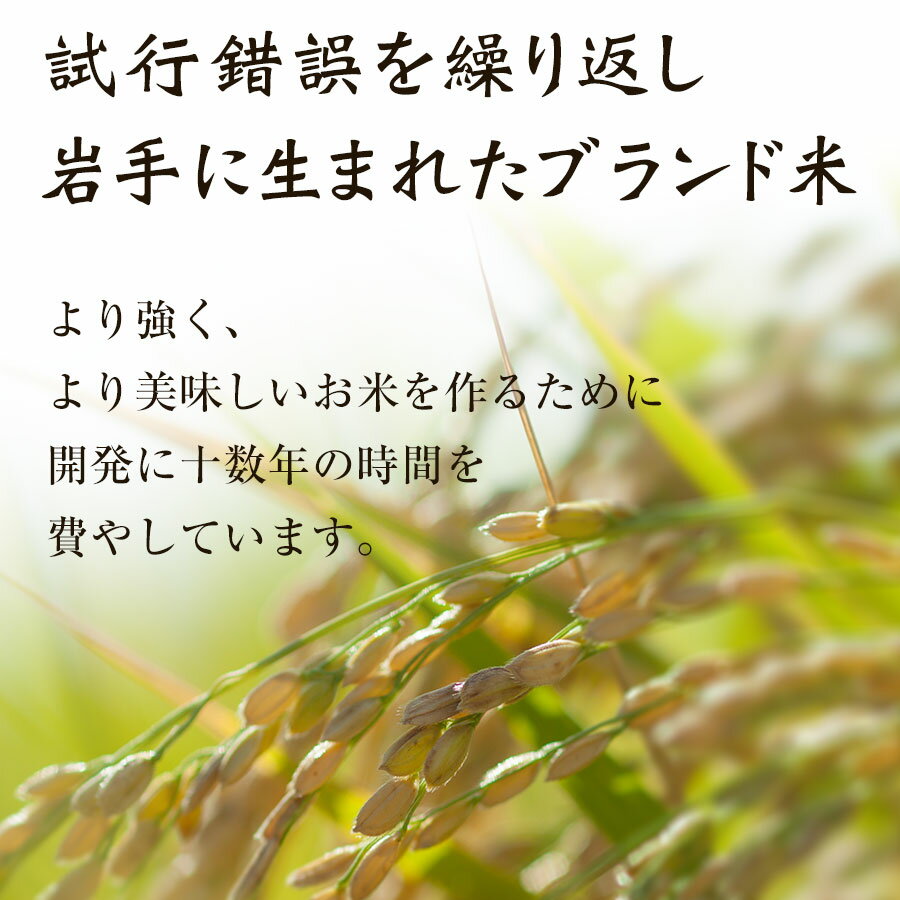 【ふるさと納税】令和7年産　純情米いわて　岩手県産　銀河のしずく　5kg/ブランド米 銀河のしずく 美味しいお米 コメ こめ 精米 産地直送 厳選 鮮度 旬 白米 ごはん おにぎり めし モチモチ ふっくら 安心 安全 予約 人気 お取り寄せ 高評価 岩手県 ふるさと 田舎 - 画像2