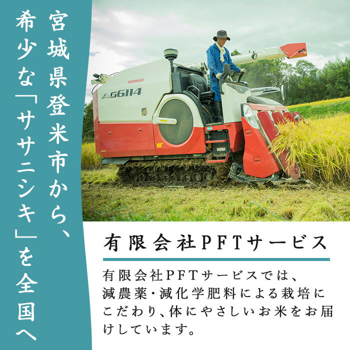 【ふるさと納税】≪6ヶ月定期便≫ 登米市産 ササニシキ 30kg・60kg 選べる容量 お米 おこめ 米 コメ 白米 ご飯 ごはん おにぎり お弁当 頒布会【有限会社PFTサービス】tm478・tm479 - 画像2