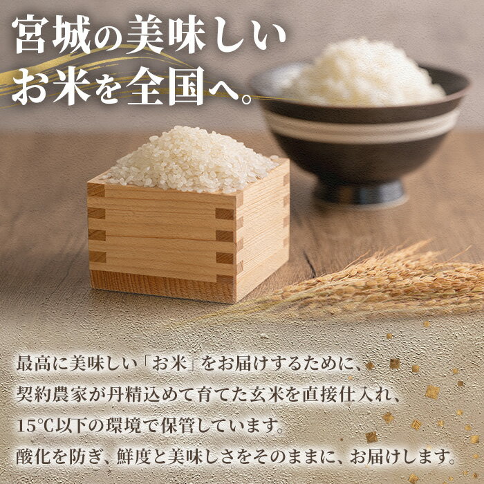 【ふるさと納税】≪令和7年産≫ 登米市産 ひとめぼれ 10kg(5kg×2袋) 冷蔵米 お米 おこめ 米 コメ 白米 ご飯 ごはん おにぎり お弁当 佐沼交通株式会社【楽らく館】tm473 - 画像2