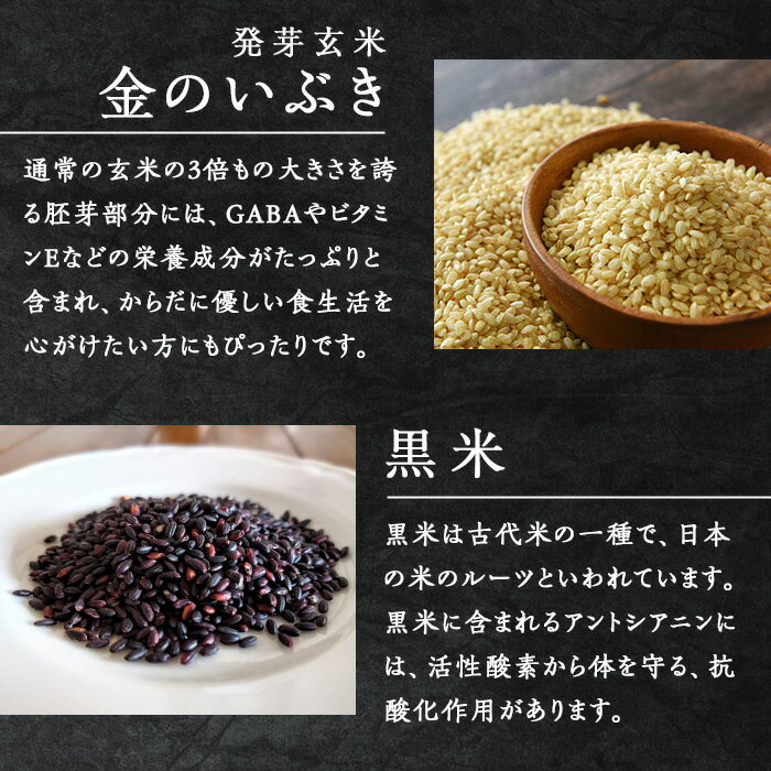 【ふるさと納税】＜先行予約！ 容量と配送月が選べる！＞発芽玄米パックご飯 16パック・40パック 選べる容量 金のいぶき発芽玄米 黒米 発芽玄米 レンジ 有機栽培 パックご飯 パックごはん ご飯パック ごはんパック ご飯 米【有機農園ファーミン株式会社】tm117・tm118 サムネイル3