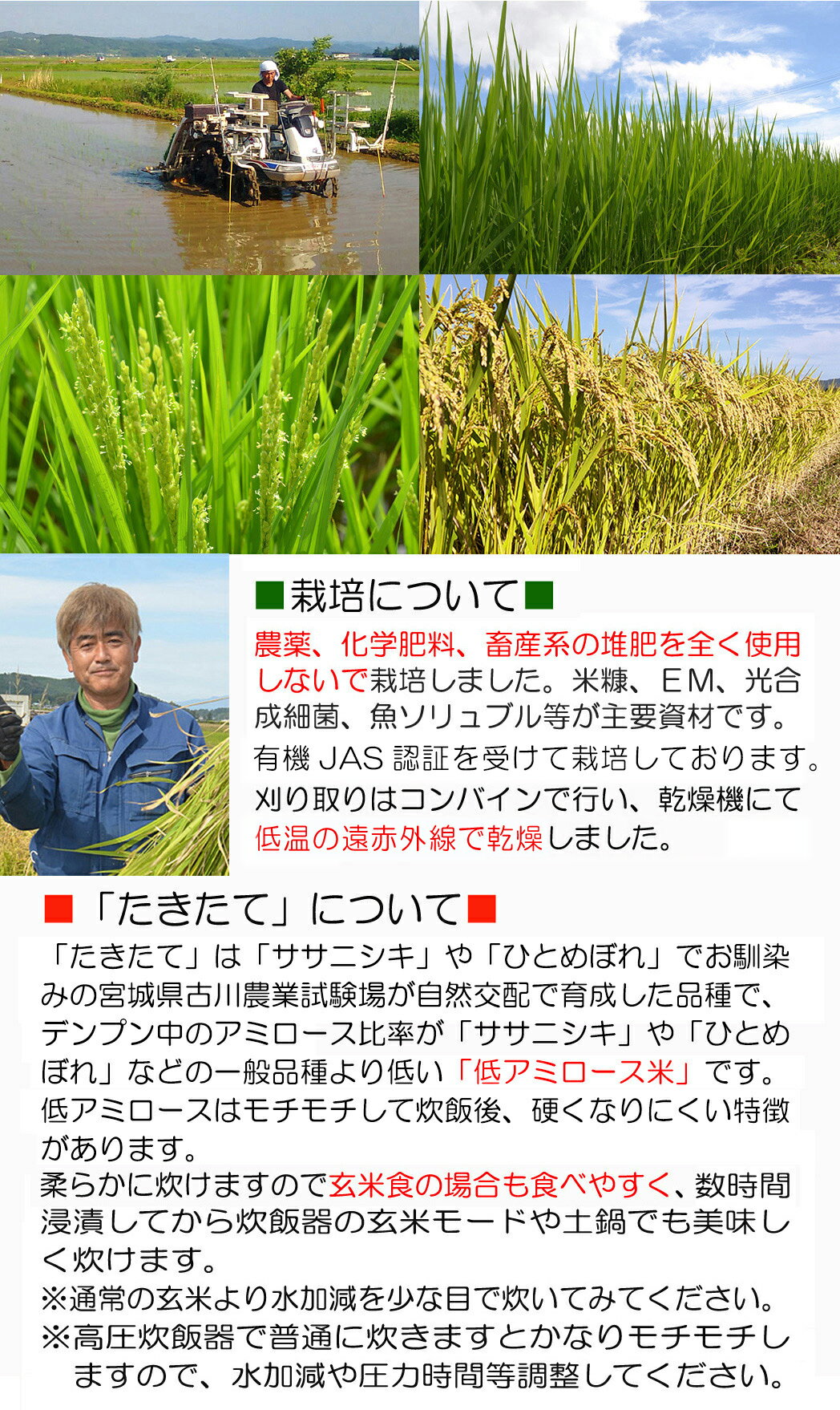【ふるさと納税】≪2025年産・新米≫ たきたて 有機玄米 5kg 低アミロース米 有機JAS認証 米 こめ コメ ご飯 ごはんおにぎり お弁当 宮城米 うるち米【有機農園ファーミン株式会社】tm125 サムネイル2