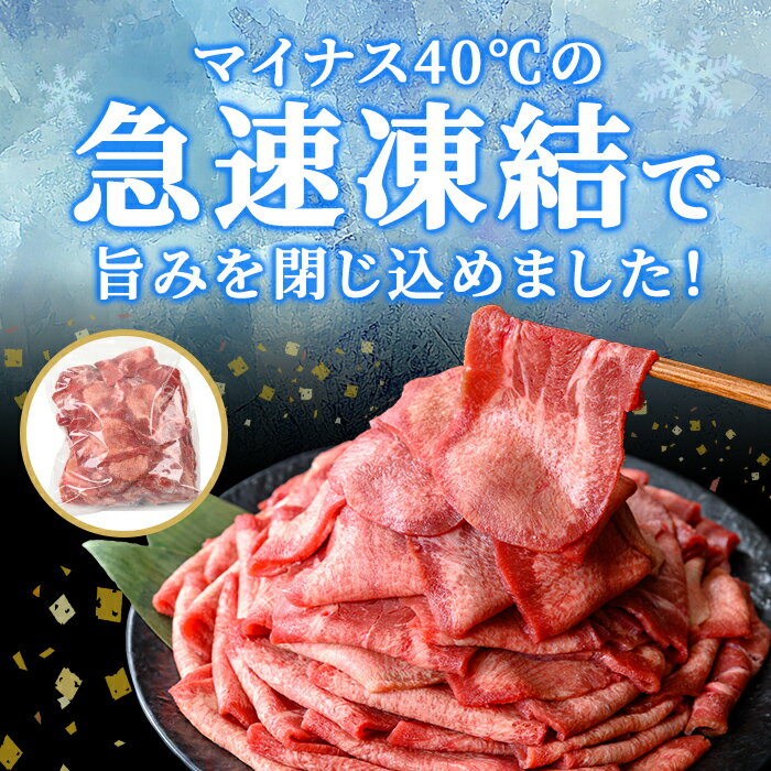 【ふるさと納税】業務用牛タン薄切り 1kg (7〜8人分) 2mm 焼肉店納品 スライス 牛たん 肉 お肉 にく 食品 冷凍保存 焼肉 BBQ バーベキュー 焼き肉 【株式会社佐利】tm246 サムネイル3