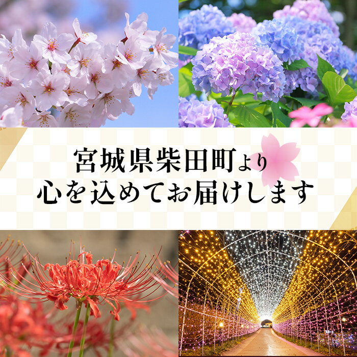 【ふるさと納税】宮城県柴田町産3銘柄米食べくらべ（精米）2kg×3種 つや姫 ササニシキ キヌヒカリ 米 お米 おこめ コメ 白米 ごはん おにぎり お弁当 【しばたの未来】sh020 - 画像3