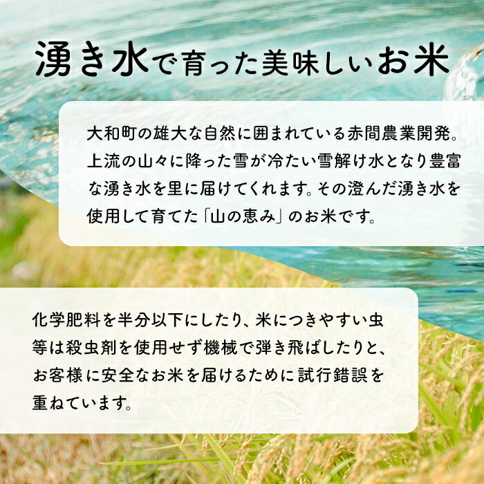 【ふるさと納税】＜令和7年産＞ 五百川 10kg お米 おこめ 米 コメ 白米 早場米 極早生品種 ご飯 ごはん おにぎり お弁当【赤間農業開発株式会社】ta459 - 画像3