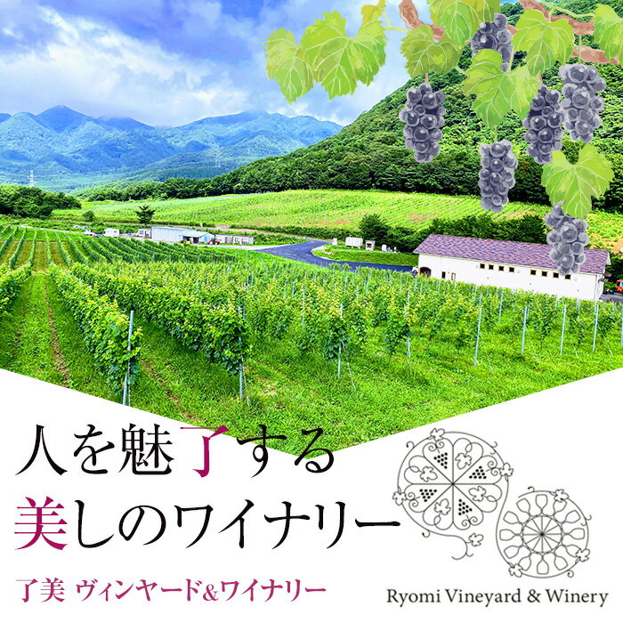 【ふるさと納税】ワイナリーが作るガーリックオイル 150g×3本 オイル チリオイル オリーブオイル ニンニク 調味料 ワイン ピザ パスタ セット みらいファームやまと【了美ワイナリー】ta401 サムネイル2