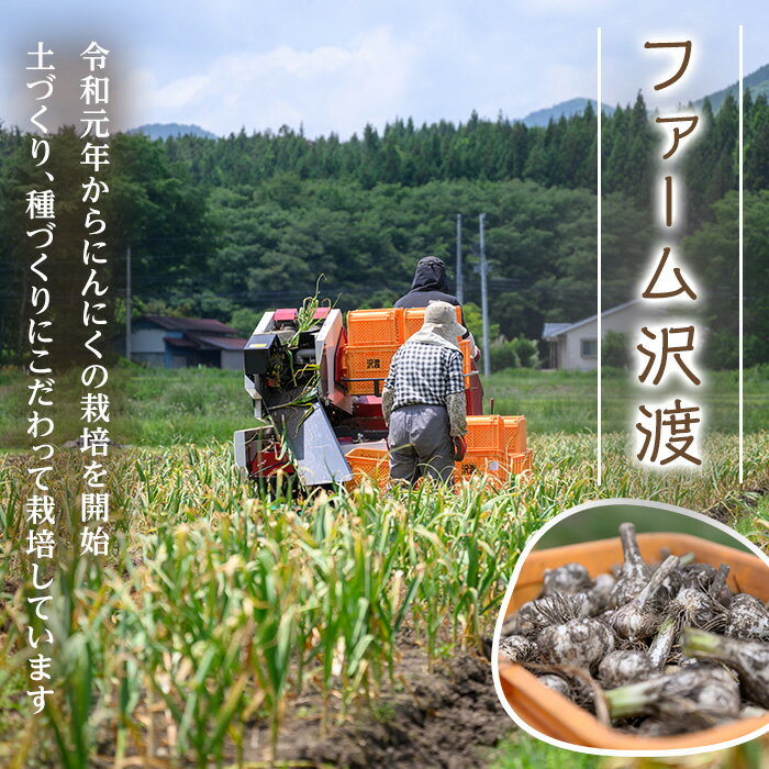 【ふるさと納税】生むきにんにく 1kg にんにく ニンニク ガーリック ホワイト おつまみ 健康 食品 料理 産地直送 宮城県 大和町【株式会社ファーム沢渡】ta553 - 画像2