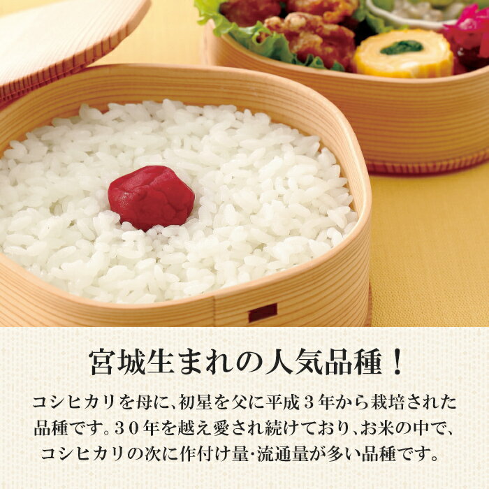 【ふるさと納税】【令和7年産】宮城県産 ひとめぼれ 5kg～10kg ＜定期便も可！＞ お米 おこめ 米 コメ 白米 ご飯 ごはん おにぎり お弁当 頒布会【株式会社パールライス宮城】ta203・ta604・ta605・ta606 - 画像2