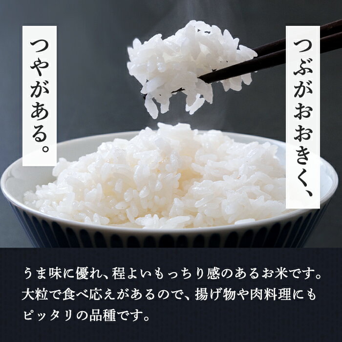 【ふるさと納税】＜令和7年産＞ つきあかり 10kg お米 おこめ 米 コメ 白米 ご飯 ごはん おにぎり お弁当【赤間農業開発株式会社】ta460 - 画像2