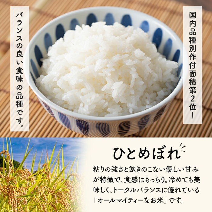 【ふるさと納税】＜令和7年産＞ひとめぼれ 10kg お米 おこめ 米 コメ 白米 ご飯 ごはん おにぎり お弁当【赤間農業開発株式会社】ta461 - 画像2