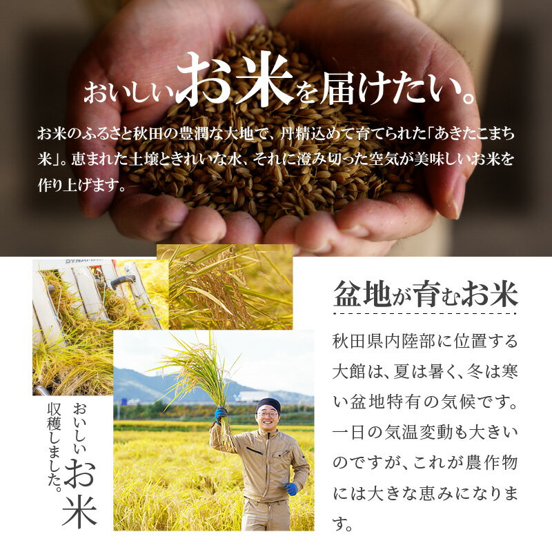 【ふるさと納税】【令和7年産先行受付】秋田県産「あきたこまち（無洗米）」 10kg（5kg×2袋）【2025年産 白米 精米 東北産 粘り 弾力性 節約 手間なし 国産 旨み 香り 栄養 のし対応可能 おにぎり お弁当 真正ファーム 送料無料】145P9201 サムネイル3