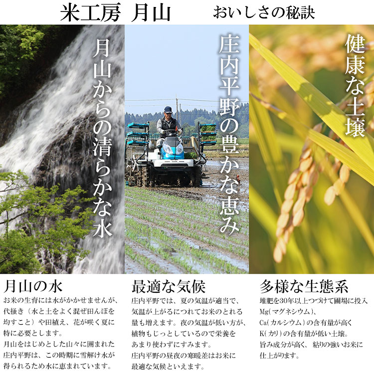 【ふるさと納税】令和7年産 特別栽培米 はえぬき 5kg (5kg×1袋) 2025年 山形県鶴岡市産　米工房月山 | 山形県 鶴岡市 返礼品 無洗米 白米 精米 5キロ 食べ比べ おこめ お米 楽天ふるさと 納税 お取り寄せ ご当地 コメ 単一米 - 画像2