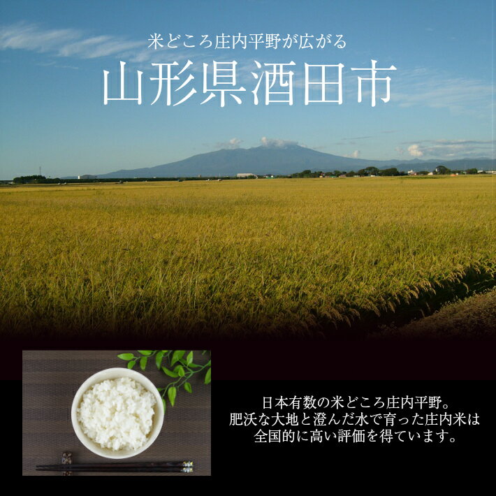 【ふるさと納税】ササニシキ 計10kg 5kg×2袋 令和7年産米 山形県産 ご希望の時期頃お届け 米 精米 白米 東北 山形県 庄内地方 JA 農協 発送時期が選べる - 画像2