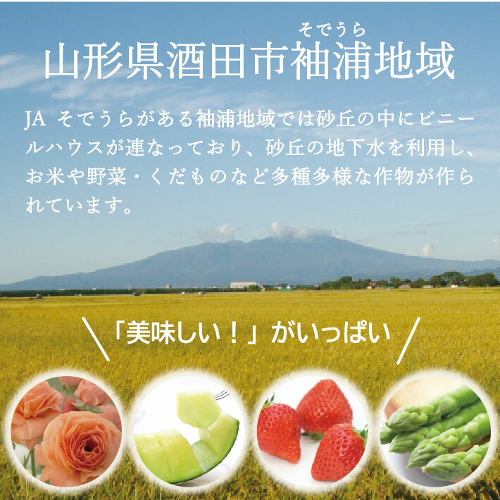 【ふるさと納税】ひとめぼれ 計10kg 5kg×2袋 令和7年産米 山形県産 ご希望時期頃お届け 米 お米 白米 精米 庄内米 東北 山形県 酒田市 庄内 一括 JA 農協 発送時期が選べる - 画像3
