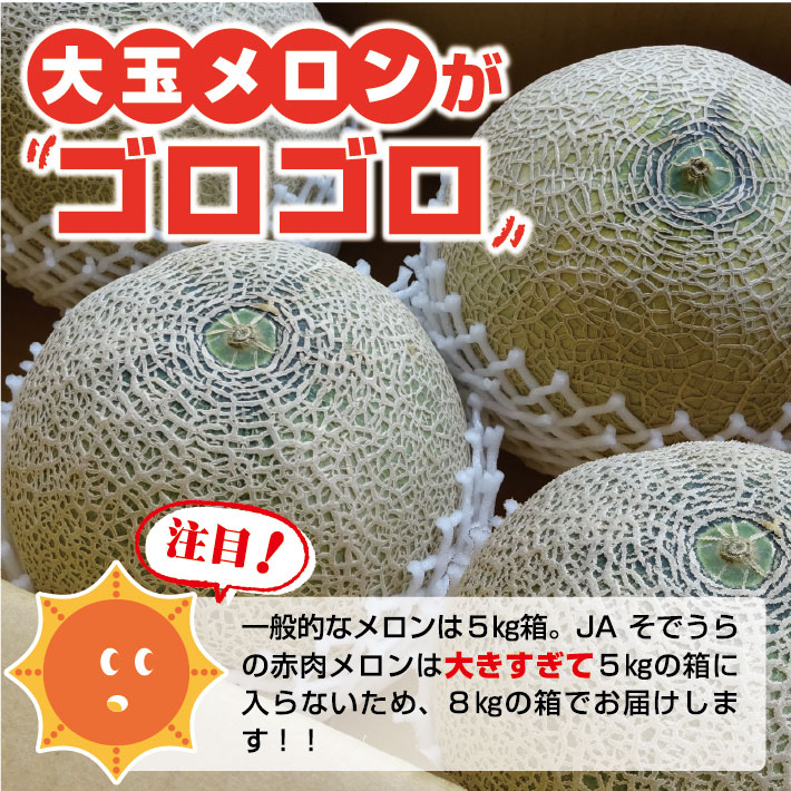 【ふるさと納税】JA直送 大玉赤肉メロン 4〜5玉 8kg以上 つる無し 山形県酒田産 2026年6月下旬〜7月下旬頃お届け ※着日指定不可 メロン 赤肉メロン 赤肉 フルーツ 大玉 ジューシー 夏 旬 農協 JA 東北 山形県 庄内 酒田 - 画像2
