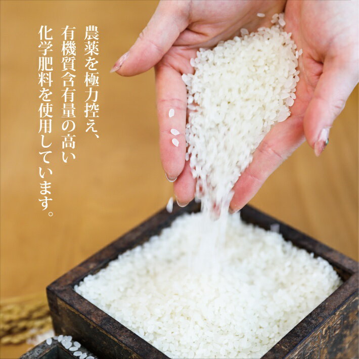 【ふるさと納税】ひとめぼれ 玄米 計12kg 5kg×2袋 2kg×1袋 令和7年産 山形県酒田産 東北 山形県 酒田市 庄内地方 庄内平野 庄内米 お米 ごはん ご飯 小分け サムネイル3