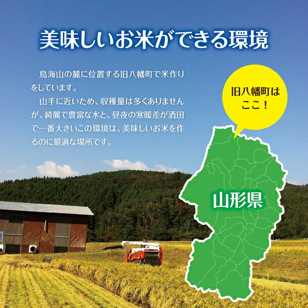 【ふるさと納税】無洗米 ひとめぼれ 計10kg 5kg×2袋 令和7年産米 山形県産 ご希望時期頃お届け 精米 白米 米 東北 山形県 酒田市 庄内 - 画像2