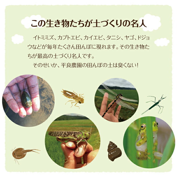 【ふるさと納税】無洗米 ひとめぼれ 計10kg 5kg×2袋 令和7年産米 山形県産 ご希望時期頃お届け 精米 白米 米 東北 山形県 酒田市 庄内 - 画像3