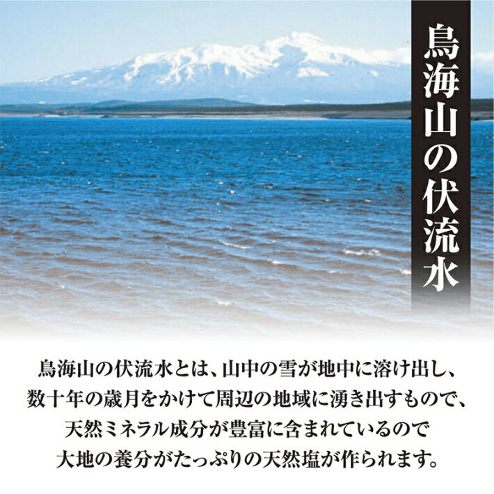 【ふるさと納税】天然塩"酒田の塩"の「ワイン塩3種（赤・白・ロゼ）」と「酒かす仕立ての塩」と「酒田の塩（プレーン）」5種セット ※着日指定不可 山形県 酒田市 庄内地方 庄内平野 塩 セット 食べ比べ 塩 天然 サムネイル2