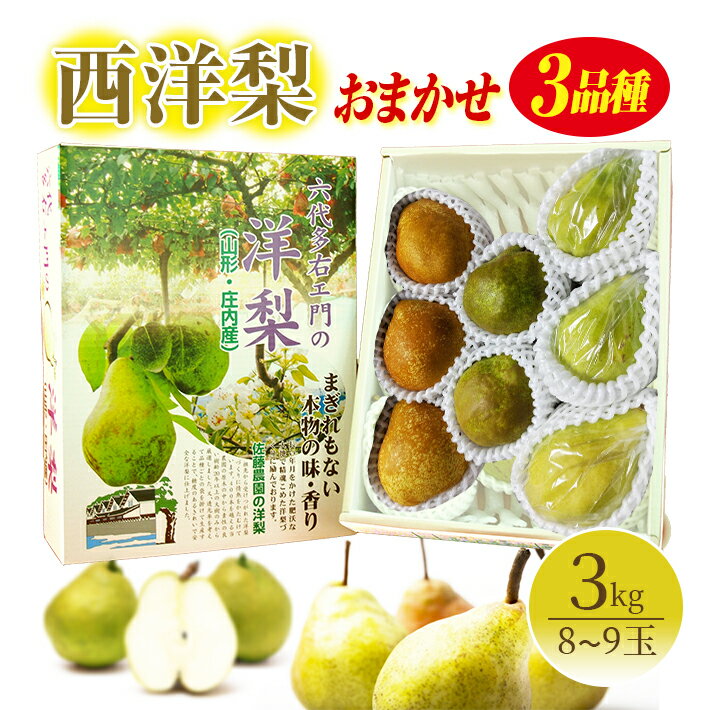 西洋梨 おまかせ3品種 3kg（8〜9玉）化粧箱入り 12月上旬〜12月中旬頃お届け ※着日指定不可 東北 山形県 酒田市 庄内地方 フルーツ 果物 詰め合わせ セット 六代多右ェ門 冬 旬 洋梨 洋なし 洋ナシ 梨 なし ナシ