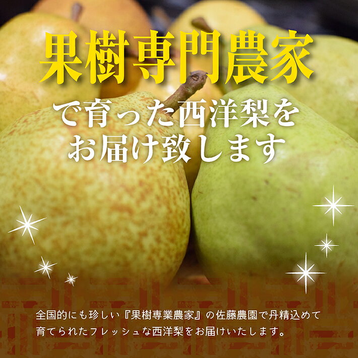 【ふるさと納税】西洋梨 おまかせ3品種 3kg（8〜9玉）化粧箱入り 12月上旬〜12月中旬頃お届け ※着日指定不可 東北 山形県 酒田市 庄内地方 フルーツ 果物 詰め合わせ セット 六代多右ェ門 冬 旬 洋梨 洋なし 洋ナシ 梨 なし ナシ サムネイル2