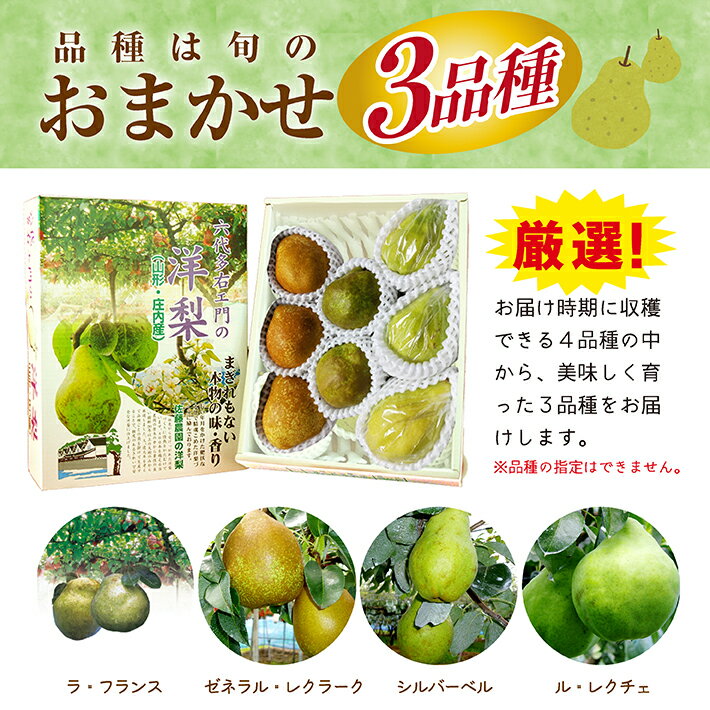 【ふるさと納税】西洋梨 おまかせ3品種 3kg（8〜9玉）化粧箱入り 12月上旬〜12月中旬頃お届け ※着日指定不可 東北 山形県 酒田市 庄内地方 フルーツ 果物 詰め合わせ セット 六代多右ェ門 冬 旬 洋梨 洋なし 洋ナシ 梨 なし ナシ サムネイル3