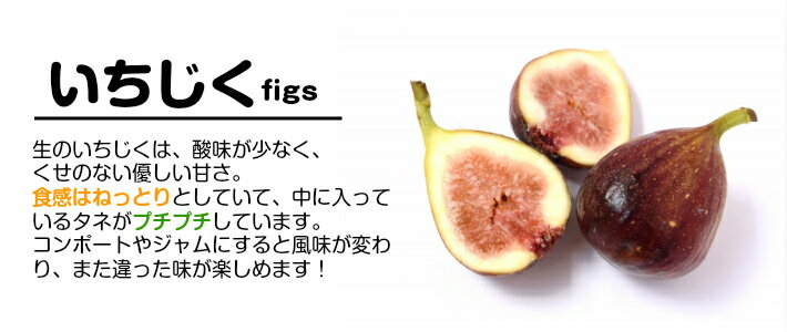 【ふるさと納税】ハウス栽培いちじく 約2.4kg（300g×4パック入り2箱）8月中旬～9月下旬頃お届け 冷蔵便 ※着日指定・離島発送不可 イチジク 無花果 果物 フルーツ ハウス 東北 山形県 酒田市 庄内 - 画像3