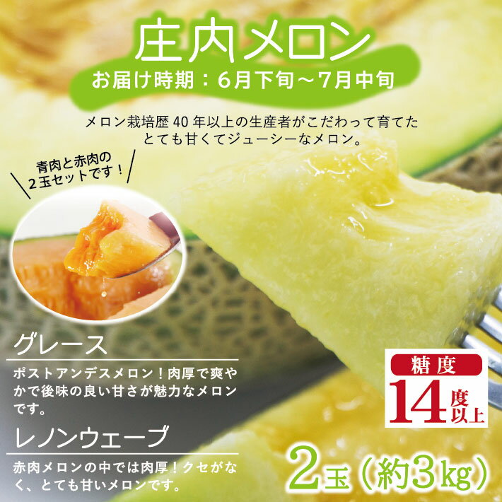 【ふるさと納税】≪3回定期便≫ 農家直送 こだわりのフルーツ定期便2026 いちご：3月下旬〜4月下旬 メロン：6月下旬〜7月中旬 いちじく：7月下旬〜8月下旬 計3回 ※離島発送・着日指定不可 頒布会 果物 くだもの イチゴ 苺 イチジク 産地直送 セット 東北 山形県 酒田市 庄内 サムネイル3