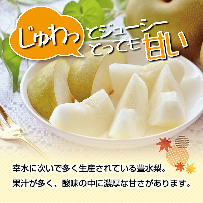 【ふるさと納税】豊水梨 約5kg 10〜16玉入 山形県酒田市刈屋産 9月中旬〜10月上旬頃お届け ※着日指定不可 なし ナシ 和梨 刈屋梨 秋 果物 フルーツ 東北 山形県 酒田市 庄内 - 画像2
