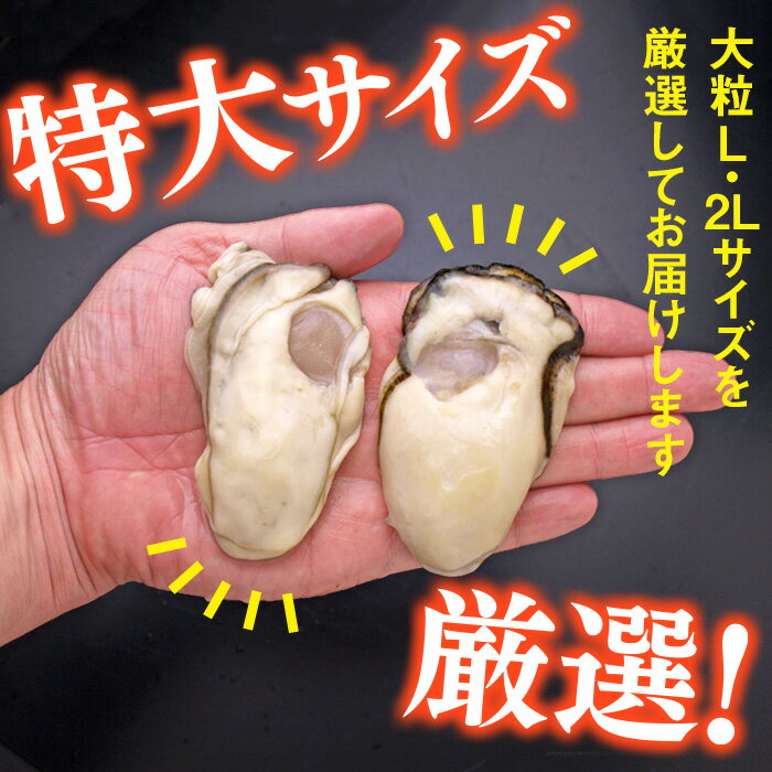 【ふるさと納税】大粒むき身牡蠣 1.5kg～3kg 個別冷凍 冷凍かき 冷凍 加熱用 大粒 魚介 魚貝類 海産物 お取り寄せ グルメ 鍋 ふるさと 納税 千葉県 長生村 - 画像2