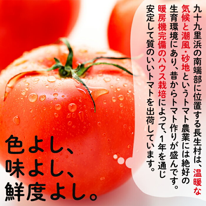 【ふるさと納税】トマト 4kg ～ 8kg 千葉県 とまと ながいきトマト 長生トマト 1箱20玉または24玉入 JA直売所発送 桃太郎 ふるさと 納税 千葉県 長生村 - 画像2
