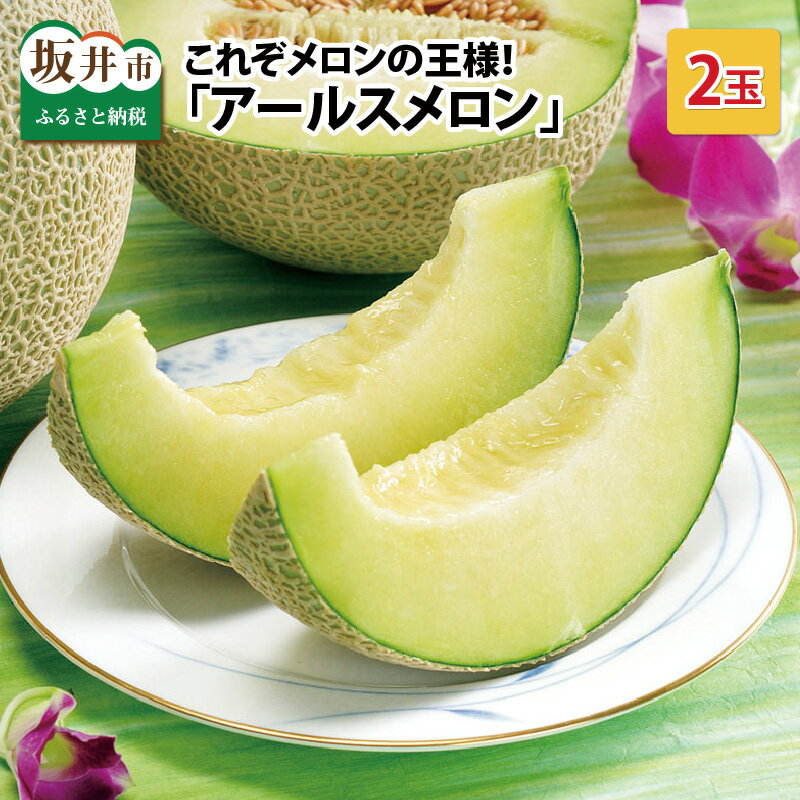 【先行予約】これぞメロンの王様！ 「アールスメロン」 2玉 化粧箱入り 【2026年9月中旬以降順次発送予定】【メロン めろん フルーツ デザート 果物 くだもの 果実 青肉 糖度 甘い ジューシー お取り寄せ グルメ 産地直送】