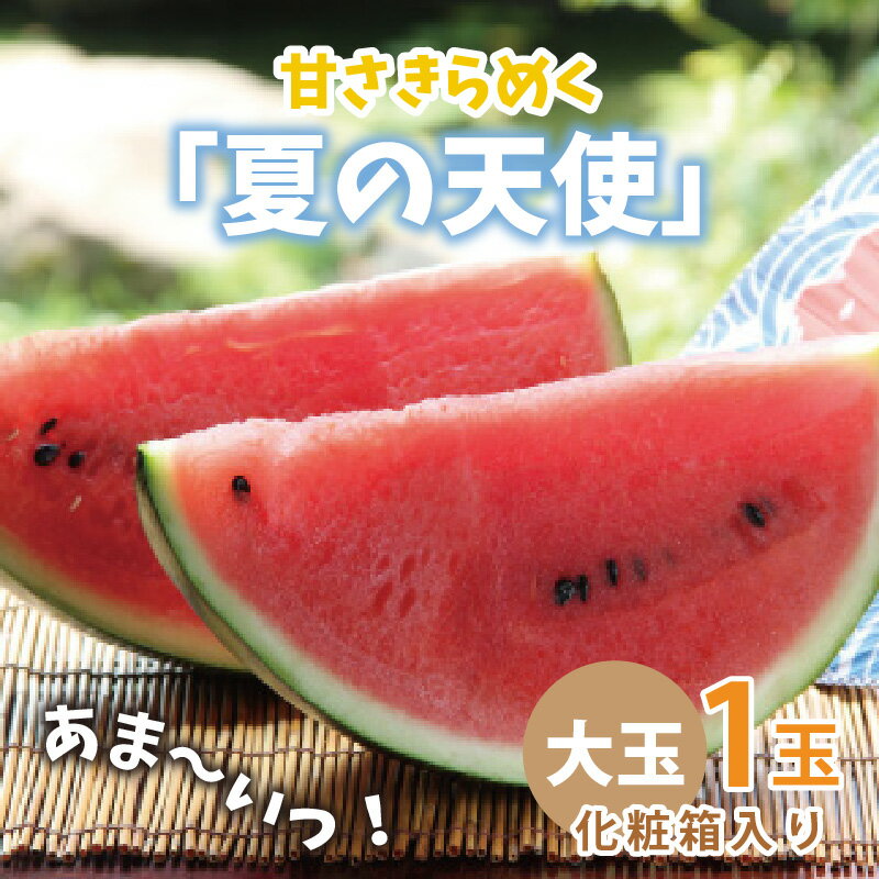 【ふるさと納税】【先行予約】甘さきらめく「夏の天使」スイカ1玉 【2026年7月中旬以降順次発送予定】【スイカ 西瓜 すいか 大玉スイカ デザート 果物 くだもの 夏 ジューシー 高糖度 お取り寄せ グルメ 産地直送】 サムネイル2