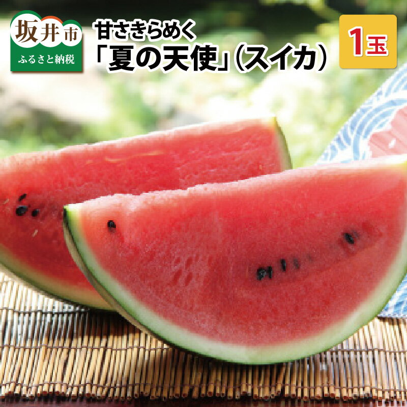 【先行予約】甘さきらめく「夏の天使」スイカ1玉 【2026年7月中旬以降順次発送予定】【スイカ 西瓜 すいか 大玉スイカ デザート 果物 くだもの 夏 ジューシー 高糖度 お取り寄せ グルメ 産地直送】
