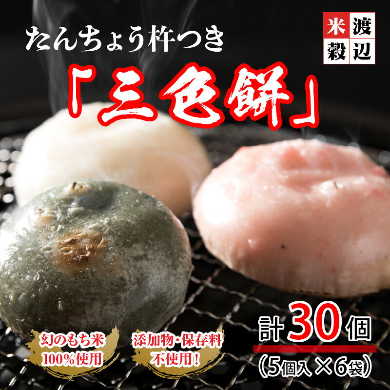 【ふるさと納税】 たんちょう杵つき「三色餅」5個 × 6パック 計30個 特別栽培もち米使用！ 〜幻のもち米100％使用〜 【つきたて モチモチ 添加物・保存料不使用 お雑煮 ぜんざい おやつにも 餅 もち おもち お餅 丸もち】 - 画像2