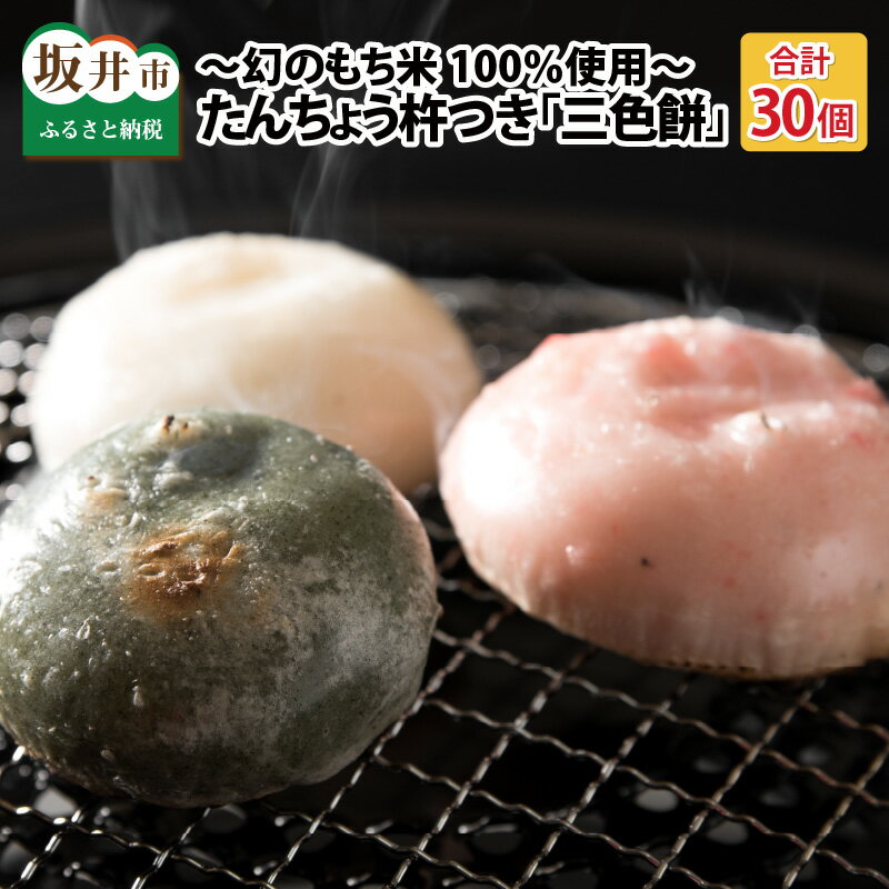たんちょう杵つき「三色餅」5個 × 6パック 計30個 特別栽培もち米使用！ 〜幻のもち米100％使用〜 【つきたて モチモチ 添加物・保存料不使用 お雑煮 ぜんざい おやつにも 餅 もち おもち お餅 丸もち】