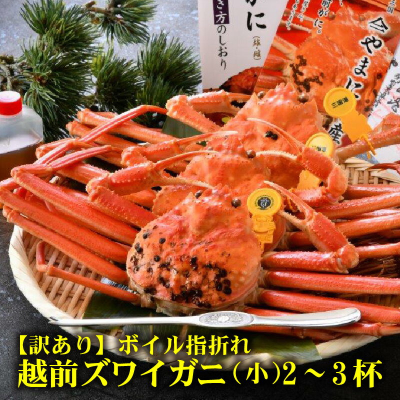 【ふるさと納税】【先行予約】名人が茹でる とれたて指折れ越前がに(小) 2〜3杯 越前ガニ ズワイガニ 蟹 かに カニ 傷 足折れ 国産 県産 訳あり 訳アリ【2025年11月〜2026年3月発送】 サムネイル3